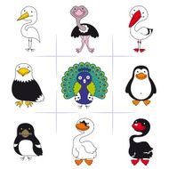 Birds N8
