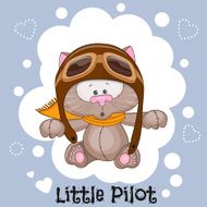 Little Pilot N12