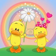 Two Ducks N2