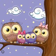 Owls family N4