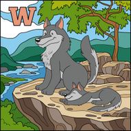 Color alphabet for children letter W (wolf)