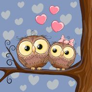 Two Owls N4
