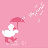 Duck in Spring Showers