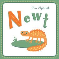 Letter N - Newt