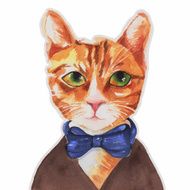 Cat portrait
