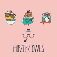 Hipster owls