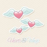 Angel Wings N10