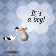 stork with baby boy announcement