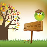 cute little boy bird N4