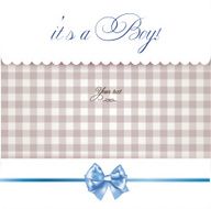 Baby boy announcement card N60