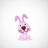 Rabbit N17