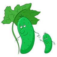 Cucumber parent and baby