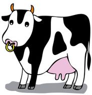 cow N7