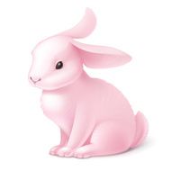 Rabbit N19