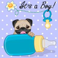 Pug Dog boy