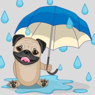 Pug Dog with umbrella