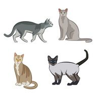 Set of cute cartoon kitties or cats