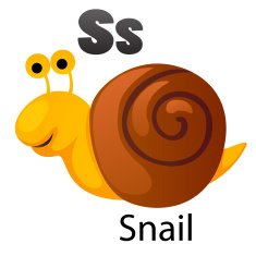 Alphabet S with snail