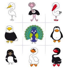 Birds N8