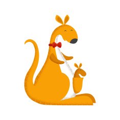 kangaroo N3