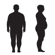 vector fat body