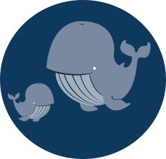 mama and baby whales