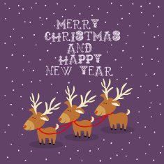 Merry Christmas Design N23