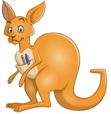 kangaroo N4
