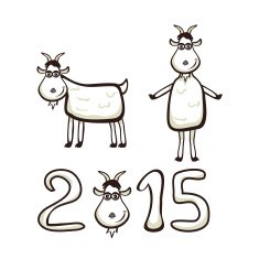little goat N4