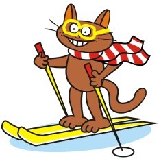 Tomcat and ski