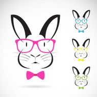 Vector image of a rabbits wear glasses