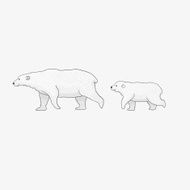 Polar bear mom and her cub are walking