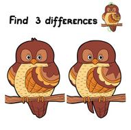 Find 3 differences (bird)