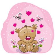 Teddy Bear With Flowers N4