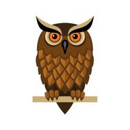 Owl Isolated on White Vector