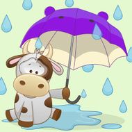 Cow with umbrella