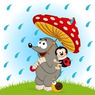 mole ladybug snail rain