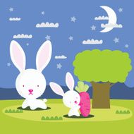 Rabbit N20