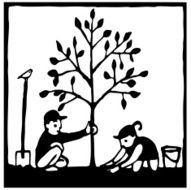 plant a tree N2