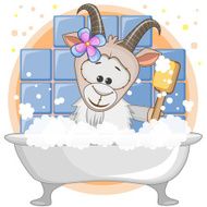 Cute Goat