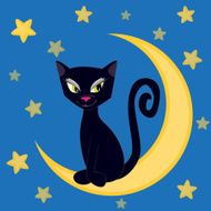 Cat on the moon