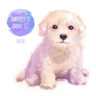 Vector dog hand painted watercolor illustration isolated on white background N3