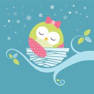 sleeping baby owl N2