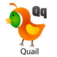 Alphabet Q with Quail