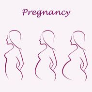 pregnancy illustration