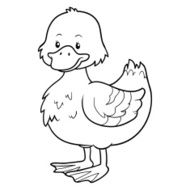 Coloring book (duck) N7