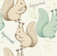 squirrel N2