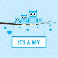 it&#039;s a boy N15