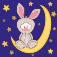 Rabbit on the moon