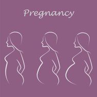 pregnancy illustration N2